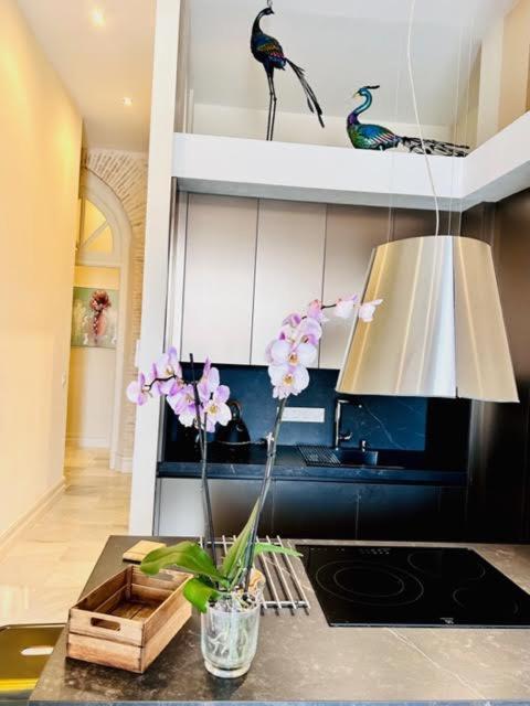 Inncadizpalacio Conde Casa-brunet Apartment Cadiz